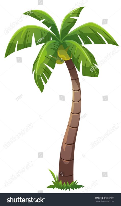 Coconut tree cartoon style, vector art and illustration. #Ad , #spon, #cartoon#tree#Coconut#style Coconut Tree Cartoon, Tiki Background, Coconut Tree Illustration, Coconut Tree Drawing, Coconut Style, Cartoon Props, Jungle Safari Cake, Cartoon Tree, Tree Cartoon