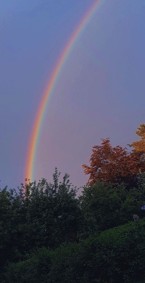 Rain Bow Aesthetic, Glimmers Aesthetic, Rainbow Astethics Wallpaper, Rainbow Wallpaper Iphone Aesthetic, Dark Rainbow Aesthetic Wallpaper, Makenna Core Aesthetic, Light Rainbow Aesthetic, Rainbow Aesthetic Pictures, Pretty Asthetic Picture