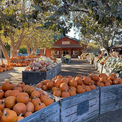 A fall getaway to San Luis Obispo — Tripadvisor Grilled Vegetable Sandwich, Pork Chop Dinner, Food Resources, Fall Getaways, Wine Selection, Earthy Scent, General Manager, Fall Activities, Autumn Activities