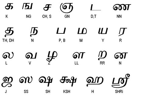 The Tamil Alphabet ~ Consonants Letter Writing For Kids, Tamil Alphabets, Tamil Letters, Hand Lettering Practice Sheets, Basic English Sentences, Sanskrit Language, Mandarin Chinese Learning, Kindergarten Reading Worksheets, Hand Lettering Practice