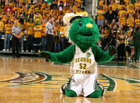 Former George Mason Patriots mascot, Gunston. George Soule Mayflower, Marcus Mariota Oregon, George And Patches, George’s Marvellous Medicine, George Mason, George Mason University, University Life, School Pride, University