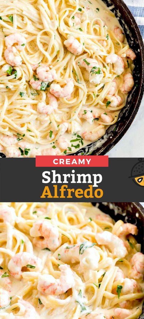 Recipes Dinner Pasta, Recipe Alfredo Sauce, Fettucini Alfredo Recipe, Shrimp Pasta Recipes Creamy, Creamy Shrimp Alfredo, Fetuccini Alfredo, Shrimp Alfredo Pasta Recipes, Easy Shrimp Alfredo, Shrimp Alfredo Recipe