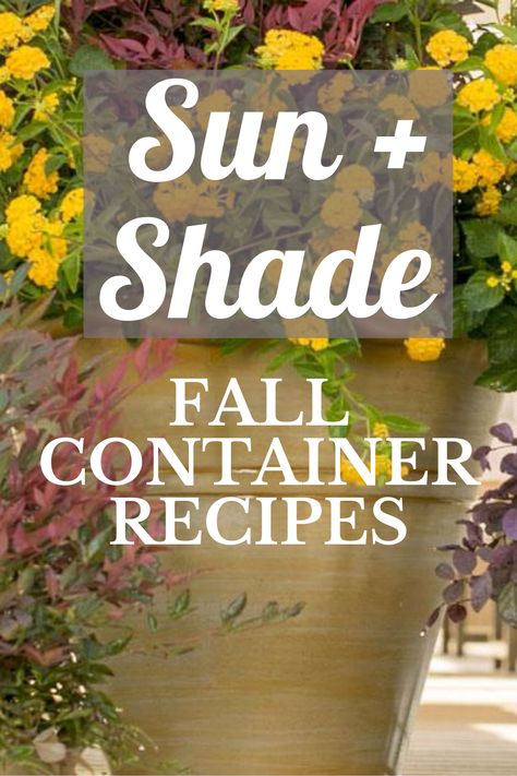 Fall Shade Containers, Fall Planting Guide, Planters For Shade, Lemon Lime Nandina, Shade Plants Container, Fall Container Plants, Fall Flower Pots, Fall Pots, First Flowers Of Spring