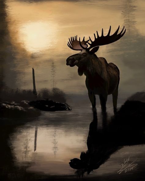 This Lazy Moose wildlife drawing was done in White charcoal on black paper. This artwork adds to any style room and is a true eye catcher.  Canvases are High Quality with gallery wrapped edges and ready to hang upon delivery. Precision printed polyester canvas stretched around 1.25 inch bars creates a vivid 3D-like effect. Prints are High Quality that are printed on 100lb card stock paper. They would require framing once delivered Moose In Water, Moose Paintings On Canvas, Moose Drawing, White Charcoal On Black Paper, Charcoal On Black Paper, Moose Artwork, Moose Photography, Moose Illustration, Wildlife Drawing