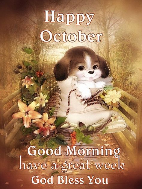 Happy October, Good Morning Have A Great Week Pictures, Photos, and Images for Facebook, Tumblr, Pinterest, and Twitter Monday Morning Blessings Kjv Fall, God Reminders, Nuwe Week, Monday Morning Wishes, Animated Pics, Good Morning Animated Images, Good Monday Morning, Wonderful Quotes, Good Morning Greeting Cards