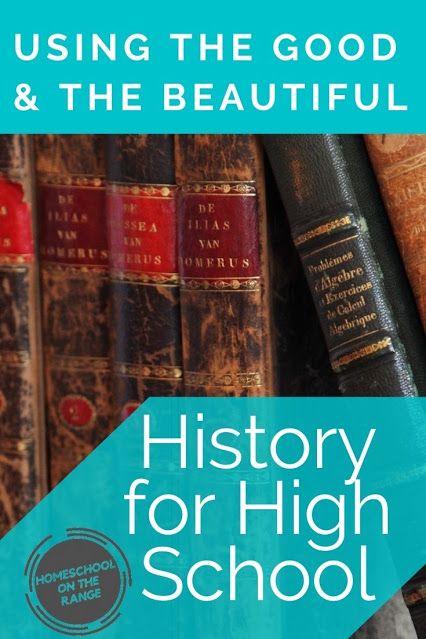 High School Study, High School World History, High School Credits, History Lesson Plans, High School Lesson Plans, High School Curriculum, World History Lessons, School Lesson Plans, High School History