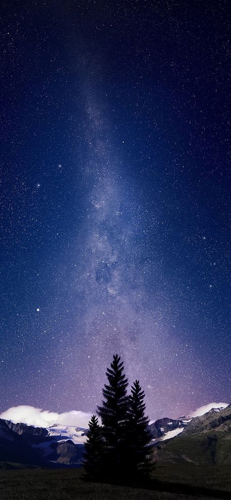 Beautiful iphone wallpaper | Wallpaperize Iphone Wallpapers 2340x1080 Wallpaper Hd, Milky Way Wallpaper, Way Wallpaper, Mountain Night, Ios 11 Wallpaper, Tree Wallpaper Iphone, Space Iphone Wallpaper, Iphone Wallpaper Photography, Iphone Wallpaper 4k