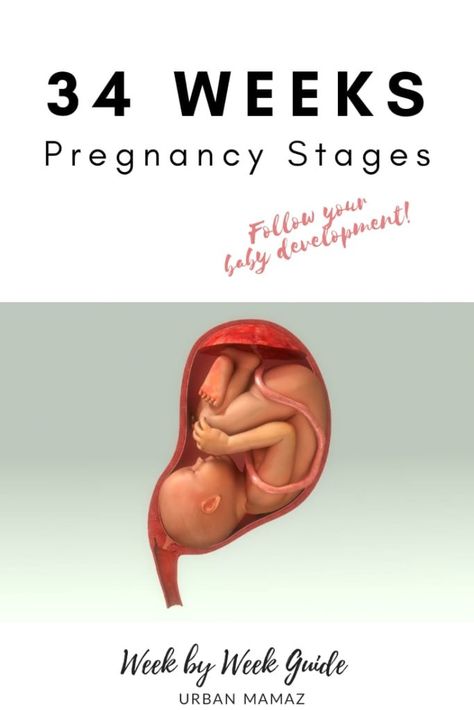 Pregnancy guide - 34 weeks. Are you pregnant? Wondering how is your baby developing? Discover your baby and pregnancy development - Week by week pregnancy guide- pregnancy trimesters, all the pregnancy stages- click here to read about 34 weeks pregnancy》 2nd Trimester Pregnancy, Pregnancy Trimesters, Pregnancy Development, Pregnancy Drawing, Body Changes During Pregnancy, Week By Week Pregnancy, 19 Weeks Pregnant, 34 Weeks Pregnant, Baby Development Activities