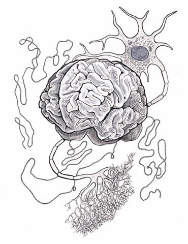 Synapse Neurons Art, Neuro Tattoo, Synapse Art, Neurons Art, Neuron Anatomy, Neuron Drawing, Neuron Art, Brain Artwork, Neurology Art