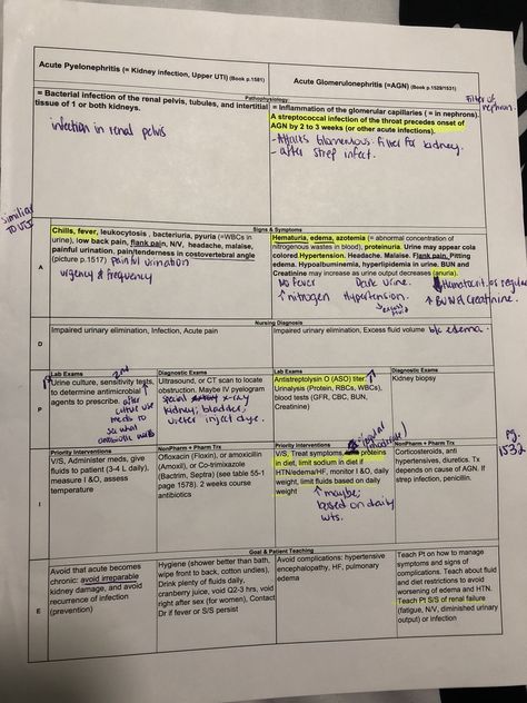 Nursing kidney Acute pyelonephritis vs acute glomerulonephritis Kidney Nursing Notes, Formation Of Urine Notes, Endocrine Disorders Nursing, Endocrine Pathophysiology, Acute Glomerulonephritis, Acute Kidney Injury, Nursing Study Guide, Medical Surgical Nursing, Med Surg