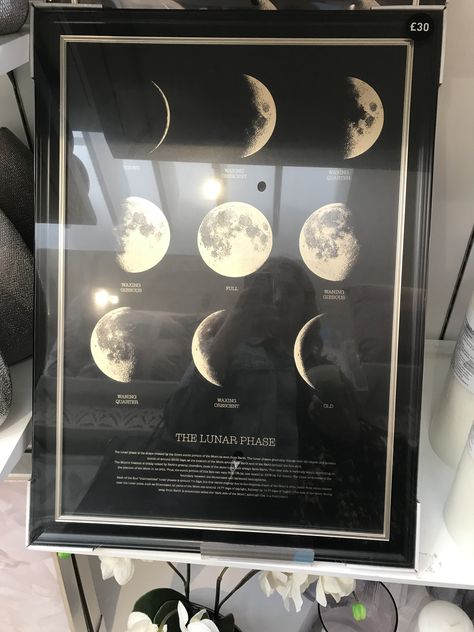 Astronomy Room Ideas, Astrology Aesthetic Room Decor, Astronomy Aesthetic Room, Astronomy Aesthetic Room Decor, Astronomy Room Decor, Astronomy Room, Astronomy Room Fantasy Art, Astronomy Decor, Accessories Aesthetic