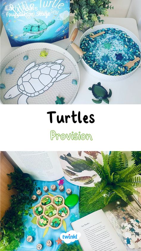 These great turtle activities are perfect for world turtle day. Thanks to Childminding with Claire Close and Wonderbees Childminding Turtle Sensory Activities, Turtle Day Activities, World Turtle Day Activities, Turtle Activities For Kids, Turtle Colouring, Corduroy Activities, Turtle Activity, Sea Turtle Life Cycle, Turtle Life Cycle