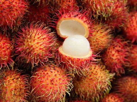 11 Rare and Unusual Fruits You Can't Find at Home - Conde Nast Traveler Pulasan Fruit, Abstract Textiles, Rambutan Fruit, Survival Knowledge, Lemon Tree From Seed, Fruit Paradise, Nature Shapes, Weird Fruit, Unique Fruit