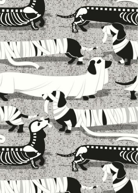 Weiner Dog Halloween, Dachshund Wallpaper, Dachshund Pattern, Dog Skeleton, Halloween Dog, Gothic Halloween, Dog Wallpaper, Weiner Dog, Dog Halloween