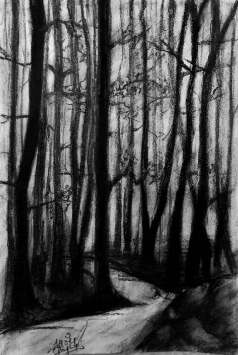 Scary Charcoal Art, Creepy Trees Drawing, Scary Woods Drawing, Dark Woods Drawing, Drawings Of Forest, Creepy Landscape Drawing, Scary Trees Drawing, Dark Forest Sketch, Charcoal Forest Drawing