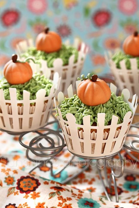 Pumpkin Recipes: Pumpkin Party Food Ideas | Mimi's Dollhouse Pumpkin Shaped Cake, Adorable Cupcakes, Farm Event, Postres Halloween, Fall Cupcakes, Nature Education, Savory Cakes, Pumpkin Party, Pumpkin Candy