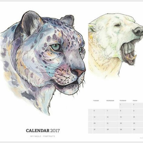 2017 Calendars now available on my Redbubble Shop! Just like having 12 quality prints of my work, in one item for £20! Use link in my bio to purchase, or visit my Redbubble to see what other items I have available on my shop :) #2017calendar #calendar #redbubble #newbusiness #petportrait #newartist #animalportrait #animalpainting #artwork Leopard Sketch, Snow Leopard Drawing, Hair Sketches, Snow Leopard Tattoo, Leopard Drawing, Ink Portrait, Leopard Tattoos, Leopard Painting, Leopard Watercolor