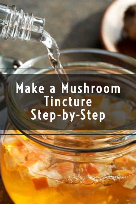 Tinctures are a traditional and time-honored method of extracting beneficial compounds from herbs and fungi. They also are surprisingly simple to make, although the process can be rather time-consuming.  Our step-by-step guide explains how to make mushroom tinctures at home. But first, let’s look at the science. Diy Mushroom Tincture, Mushroom Tincture, Functional Mushrooms, Diy Lotions, Cauliflower Mushroom, Mushroom Species, Nature Gifts, Shitake Mushroom, Maitake Mushroom