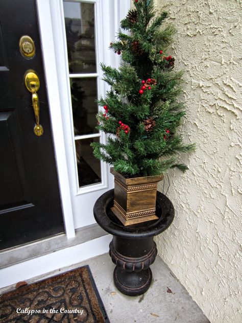 The Little Tree Dilemma Christmas Trees On Front Porch Ideas, Small Christmas Trees On Front Porch, Front Door Christmas Trees In Pots, Porch Trees Christmas, 4ft Christmas Tree, Porch Christmas Tree, Small Xmas Tree, Porch Tree, Small Porch Decorating