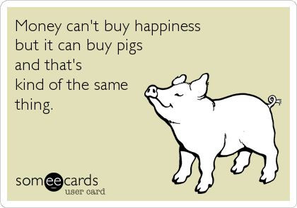 Teacup Piggies, Pig Quotes, Pigs Quote, Pig Showing, Cute Farm Animals, Teacup Pigs, Pot Belly Pigs, Showing Livestock, Money Cant Buy Happiness