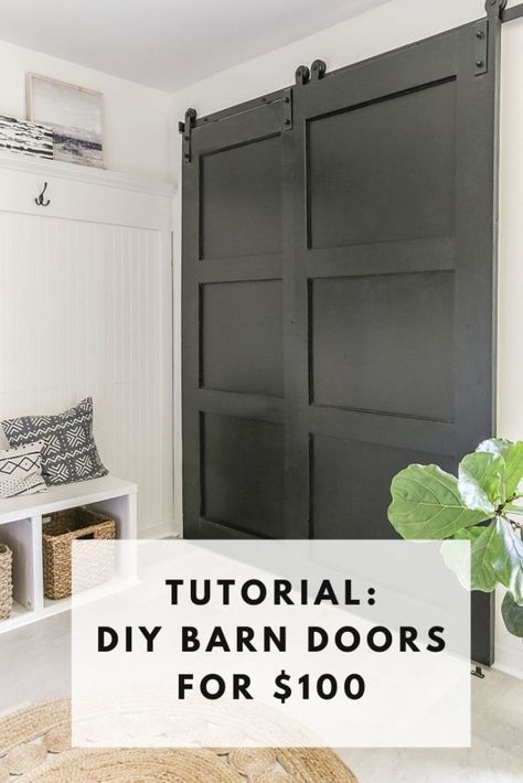 Pantry Door Diy, Bifold Pantry, Pantry Barn Door, Diy Barn Door Cheap, Barn Door Diy, Diy Kast, Double Pantry, Easy Closet, Barn Door Projects