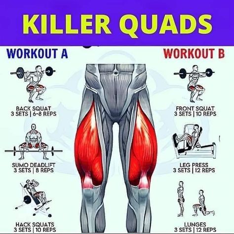 Inner Quads Workout, Kill Your Legs Workout, Quad Excersizes, Building Quads Muscles, Leg Killer Workout, Quads Before And After, Quads Workout At Home No Equipment, Massive Quads Workout, Standing Quad Exercises