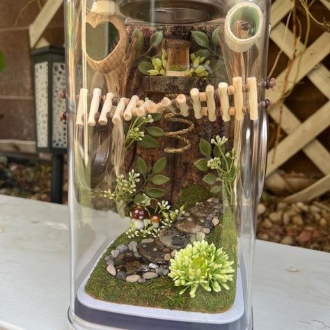 Green Bottle Blue Tarantula Enclosure, Pet Spider Tank, Jumping Spider Terrarium Diy, Jumping Spider Terrarium Ideas, Spider Terrarium Ideas, Jumping Spider Enclosure Decor, Snail Enclosure Ideas, Diy Jumping Spider Enclosure, Jumping Spider Enclosure Ideas