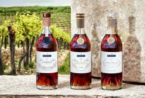 Top 10 Best Brandy Brands Sold Worldwide | Cognac Expert Brandy Liquor, Grape Brandy, Indian Drinks, Pernod Ricard, Remy Martin, Show Beauty, Magazine Fashion, Beauty Magazine, Fashion Blogger Style