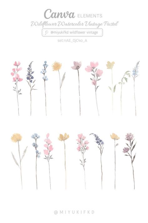 Elements On Canva, Font Canva Lettering, Botanical Decoration, Ornament Watercolor, Wildflower Watercolor, Canva Keywords, Keyword Elements Canva, Elements Canva, Watercolor Vintage