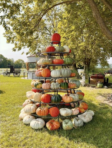 Pumpkin Patch Business, Maze Ideas, Farm Stand Ideas, Fall Festival Decorations, Pumpkin Patch Ideas, Pumpkin Patch Farm, Fall Displays, Fall Festival Ideas, Pumpkin Patch Photoshoot