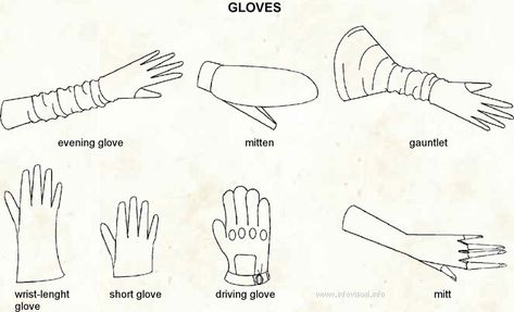 Different Gloves Types Glove Technical Drawing, Gloves Technical Drawing, Gloves Drawing Reference, Gloves Sketch, Gloves Fashion Vintage, Hand Gloves Fashion, Record Illustration, Hand Guide, Gloves Drawing