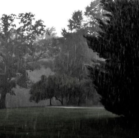 Dark Weather, Rain And Thunderstorms, Rainy Day Aesthetic, I Love Rain, Love Rain, Rainy Night, Water Element, Sound Of Rain, Rain Photography