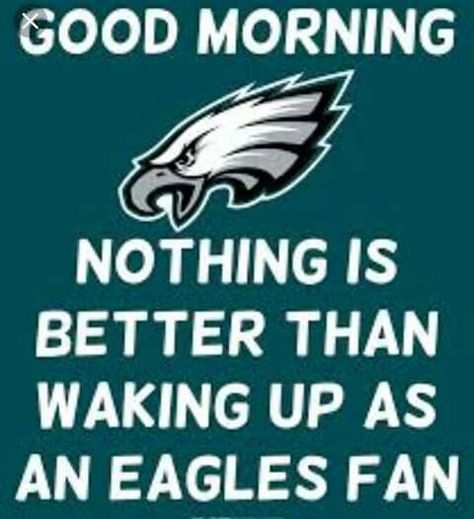 Dallas Cowboys Jokes, Eagles Quotes, Philadelphia Eagles Wallpaper, Football 101, Eagles Philadelphia, Eagles Win, Philly Eagles, Go Eagles, Philadelphia Eagles Fans