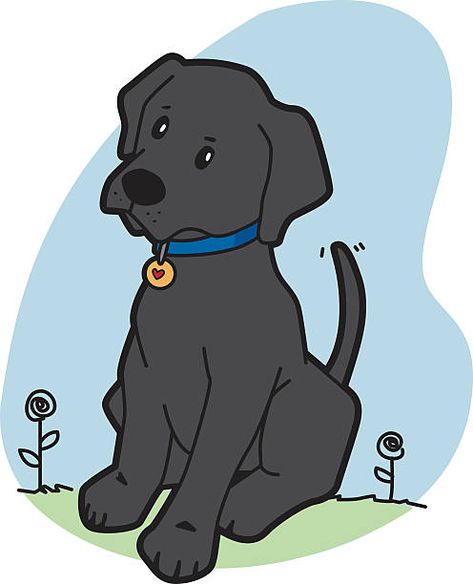 1,397 Labrador Retriever High Res Illustrations - Getty Images Labrador Doodle Drawing, Labrador Retriever Drawing Cartoon, Labrador Cartoon, Dog Drawing Simple, Black Labs Dogs, Mini Toile, Dog Clip Art, Cartoon Drawings Of Animals, Lab Puppy