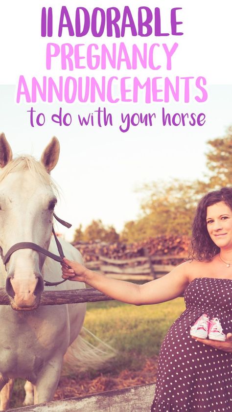 Are you expecting and want to get your pony involved in the big reveal. In this post we have some horse pregnancy announcement ideas to inspire you. Whether you want to make your horse the star of the show or just want to acknowledge their place in the family, you are sure to find some fun ideas in this post. Fun Pregnancy Announcement, Pregnancy Announcement Ideas, Baby Announcement Pictures, All About Pregnancy, Announcement Ideas, Pregnancy Announcements, Big Reveal, Newborn Care, Reveal Ideas