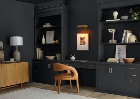 Behr Paint Company claims that the Cracked Pepper PPU18-01 is The Color of The Year for 2024 ! Behr Black Paint, Charcoal Grey Paint, Behr Colors, Black Paint Color, Paint Trends, Driven By Decor, Trending Paint Colors, Behr Paint, Favorite Paint Colors