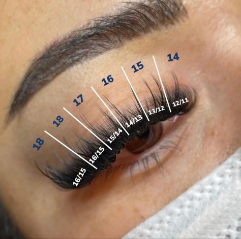 Cat Eye Mapping Eyelash Extensions Classic, Hybrid Wispy Eyelash Extensions Cat Eye Mapping, Lash Map Wispy Cat Eye, Hybrid Cateye Lash Extensions Map, Wispy Cat Eye Lash Extensions Map, Wispy Spike Lash Extensions Map, Eyelashes Tutorial, Lash Tricks, Eyelash Tips