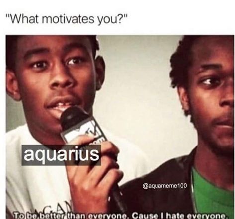 Funny Aquarius, Aquarius Funny, Better Than Everyone, Aquarius Aesthetic, Aquarius Truths, Aquarius Life, Aquarius Traits, Aquarius Love, Astrology Aquarius