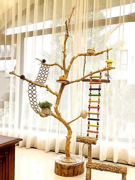 Bird Playground, Cockatiel Care, Rainbow Chicken, Cockatiel Toys, Diy Bird Toys, Pet Bird Cage, Bearded Dragon Cute, Pet Enclosure, Natural Tree