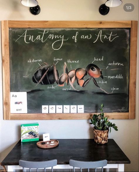 Homeschool Chalkboard Ideas, Homeschool Chalkboard Art, School Room Homeschool, Homeschool Room Signs, Homeschool Chalkboard, Chalk Wall Homeschool, Chalkboard Wall Homeschool, Cottagecore Classroom, Christian School Classroom