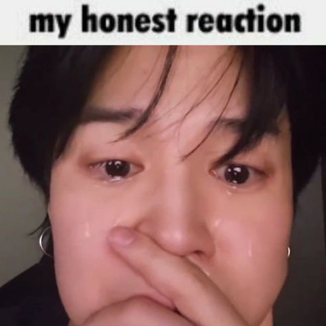 My Honest Reaction, Honest Reaction, Bts Reactions, Reaction Face, Meme Stickers, Memes Kpop, Meme Faces, Kpop Funny, Ravenclaw