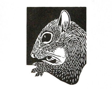 Linocut animals, squirrel, eekhoorn, hand printed wall art, matted, ready to frame, woodland animal print Linocut Animals, Woodcut Art, Linoleum Print, Hand Printing, Woodland Animal Prints, Printed Wall Art, Linocut Art, Desenho Tattoo, Art Et Illustration