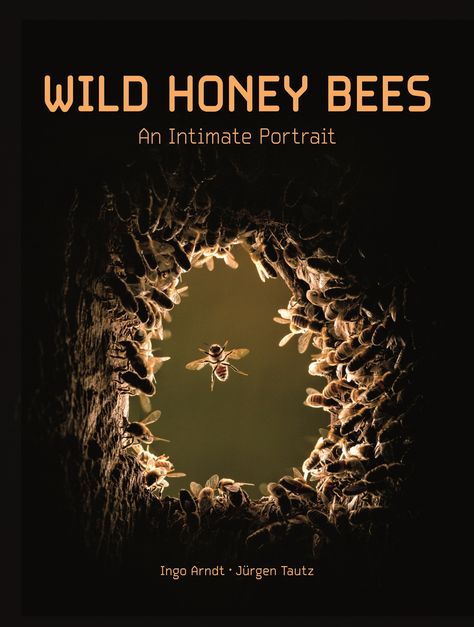 Wild Honey Bees | Princeton University Press Loss Of Biodiversity, Popular Science Books, Intimate Portrait, Hollow Tree, Bee Colony, Wild Honey, World Press, Photo Awards, Incredible Creatures