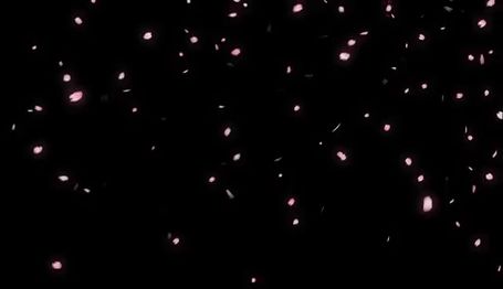 Pink And Black Gif Header, Black And Pink Banner Discord Gif, Effect Gif Png, Stars Discord Banner, Black And White Discord Banner Gif, Pink And Black Banner Gif, Star Overlay Gif, Gif Overlays For Edits, Aesthetic Background Gif