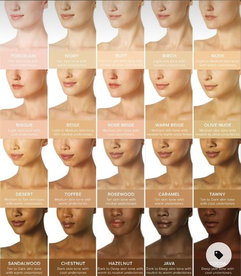 Skin Tone Chart, Skin Tone Makeup, Neutral Skin Tone, Airbrush Foundation, Sunkissed Skin, Skin Undertones, Foundation Shade, Warm Skin Tone, Cool Skin Tone