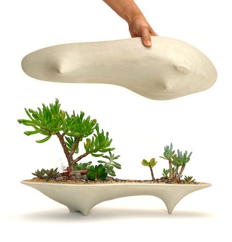 Homepage collection Long Planter, Planter Centerpiece, Centerpiece Home, Succulent Bonsai, Modern Planter, Black Planters, Ceramic Succulent, Planter Gift, Deco Nature