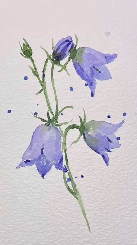 Blue Bell Painting, Painted Flowers Watercolor, Purple Flowers Watercolor Painting, Blue Bell Drawing, Flower Watercolour Painting, Bellflower Drawing, Purple Flowers Drawing, Bluebell Painting, Purple Flower Drawing