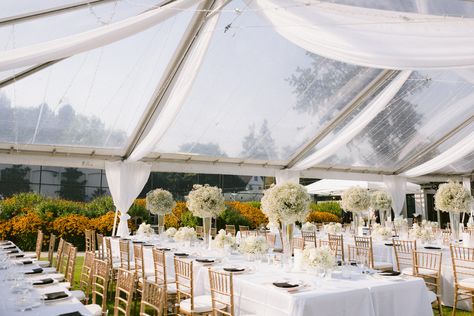 Wedding Tents, Black Napkins, Clear Tent, Beautiful Outdoor Wedding, Gold Chair, Outdoor Wedding Inspiration, Tennis Courts, Tent Rentals, Event Tent