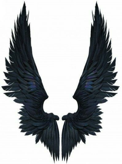 The Outcast, Angel Wings Art, Demon Wings, Wings Wallpaper, Wings Drawing, Gothic Tattoo, Wings Art, Wings Costume, Wings Tattoo