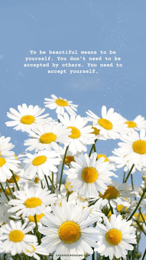 Daisy Quotes, Lock Screen And Home Screen, Pretty Phone Backgrounds, Beach Clouds, Cute Happy Quotes, Cute Motivational Quotes, Flowers Daisies, Happy Day Quotes, Positive Quotes Wallpaper